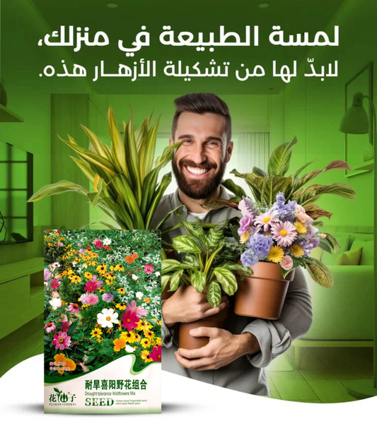بذور الزهور الأمريكية: جنة تنبت من يدك بـ21 نوع مختلف!